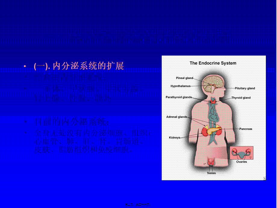 内分泌学总论.pptx_第2页