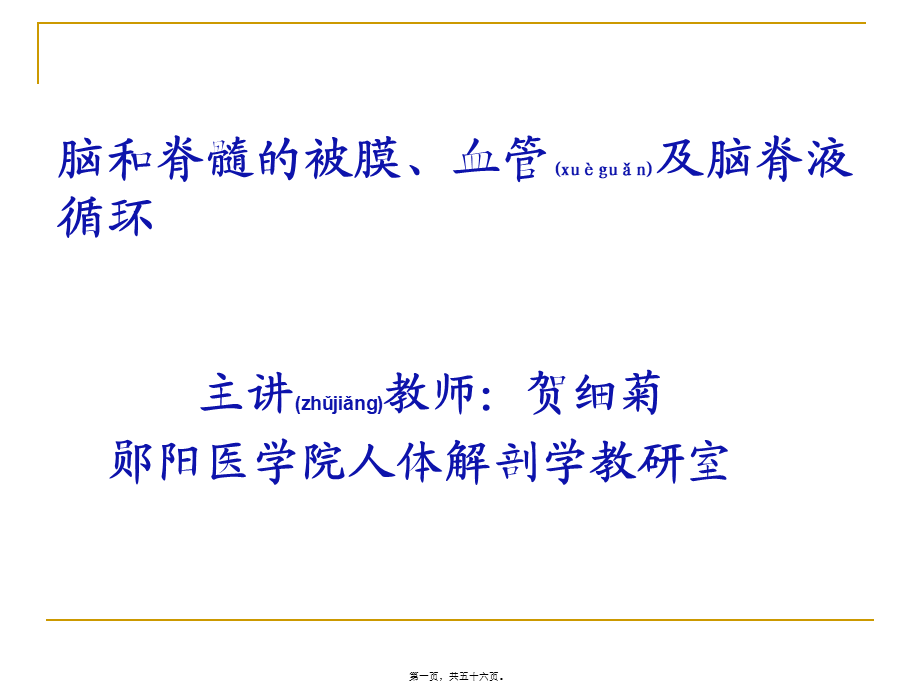 2022年医学专题—脑脊髓被膜血管脑脊液循环.ppt_第1页