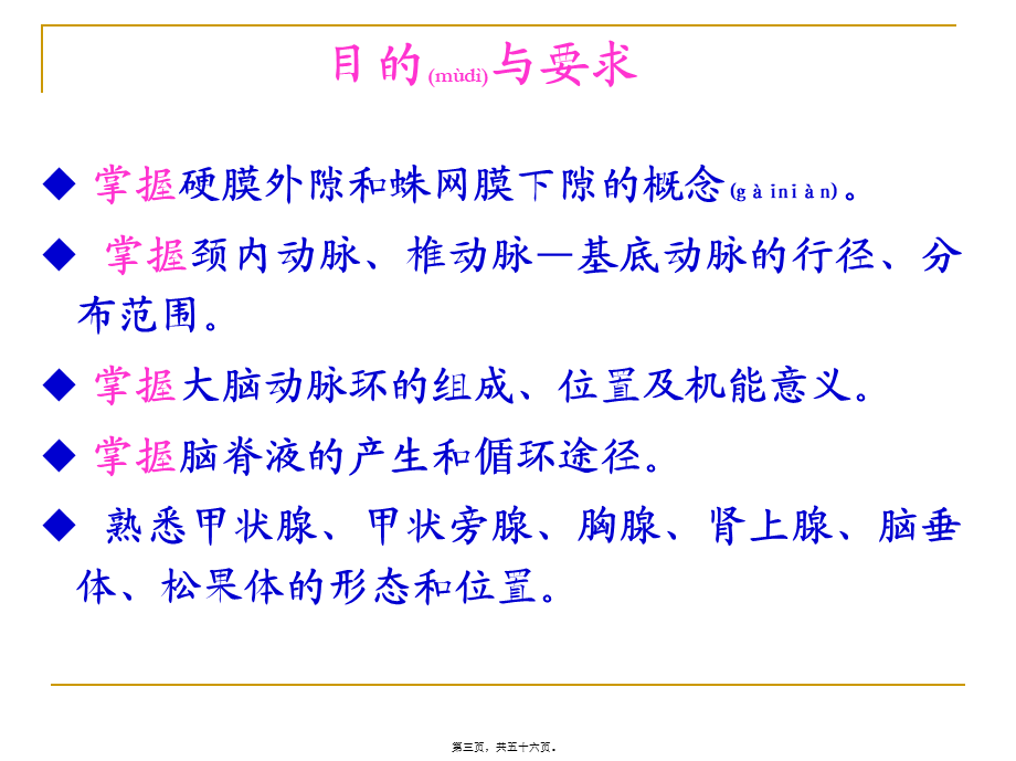 2022年医学专题—脑脊髓被膜血管脑脊液循环.ppt_第3页