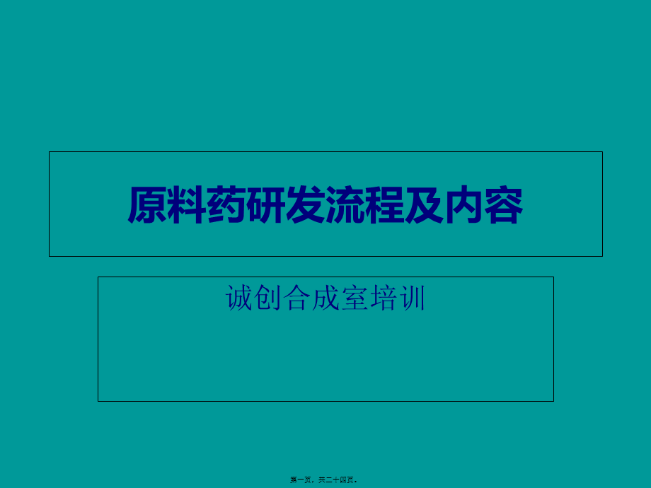 原料药研发流程.pptx_第1页