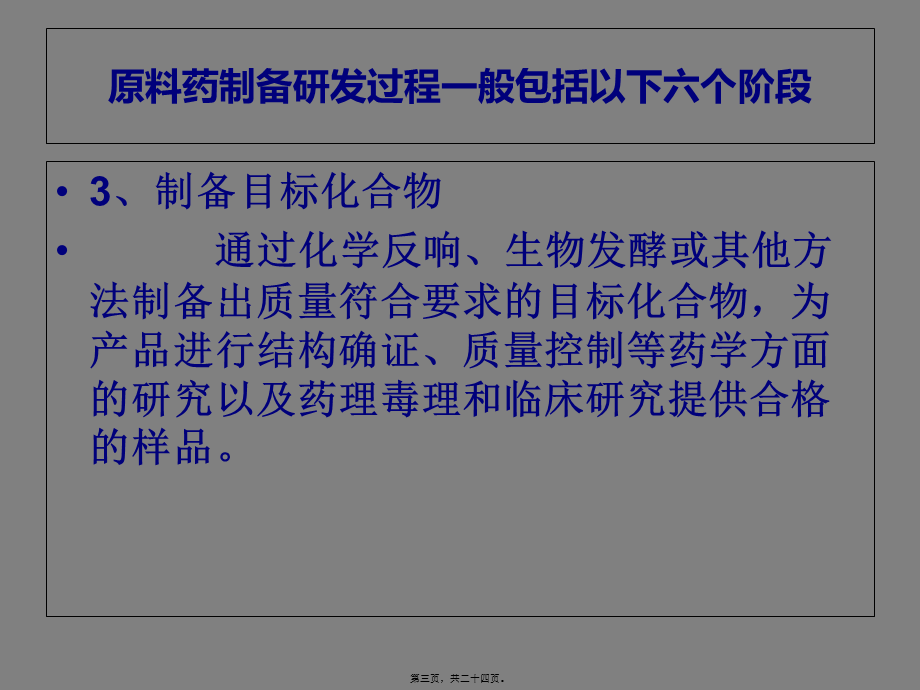 原料药研发流程.pptx_第3页