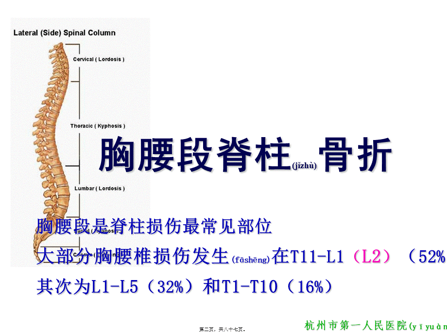 2022年医学专题—胸腰段脊柱骨折.ppt_第2页