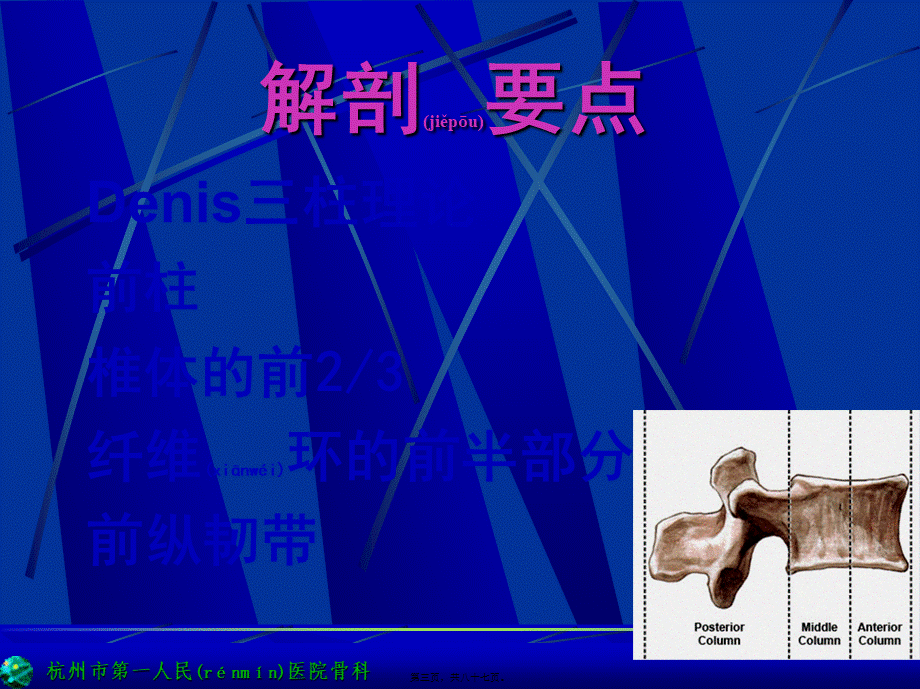 2022年医学专题—胸腰段脊柱骨折.ppt_第3页