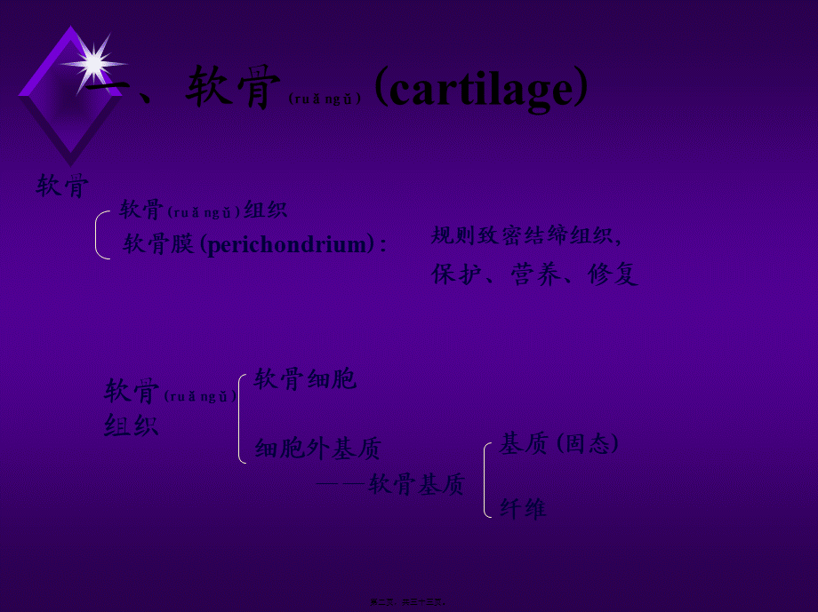 2022年医学专题—组织胚胎学4.软骨和骨.ppt_第2页