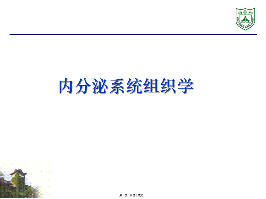 内分泌系统组织学.pptx_第1页