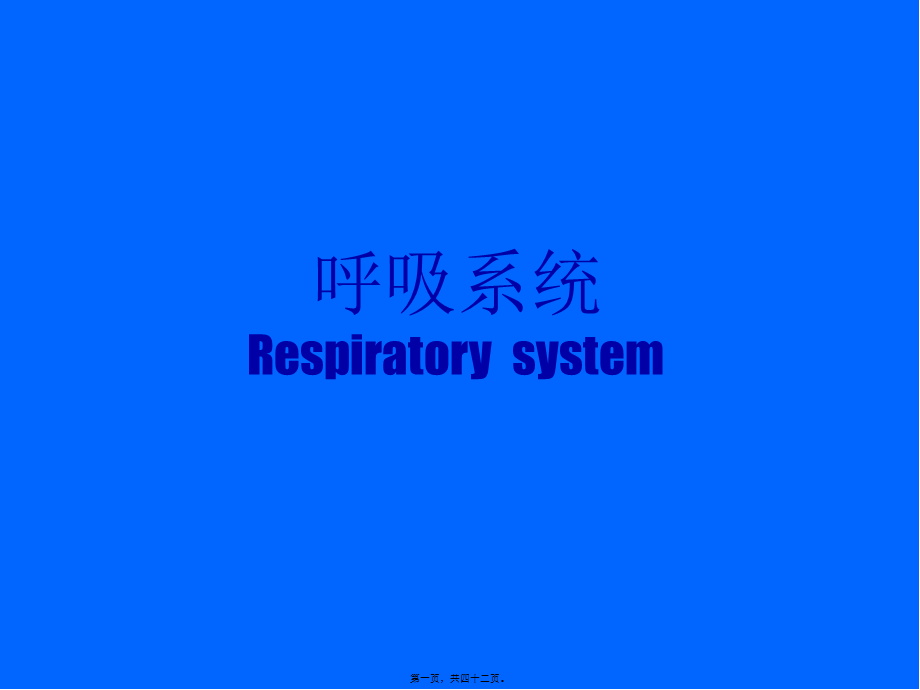 呼吸系统--祖胚-2.pptx_第1页