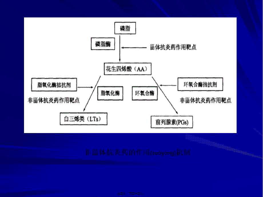 2022年医学专题—第五章-解热镇痛及非甾体抗炎药.ppt_第3页