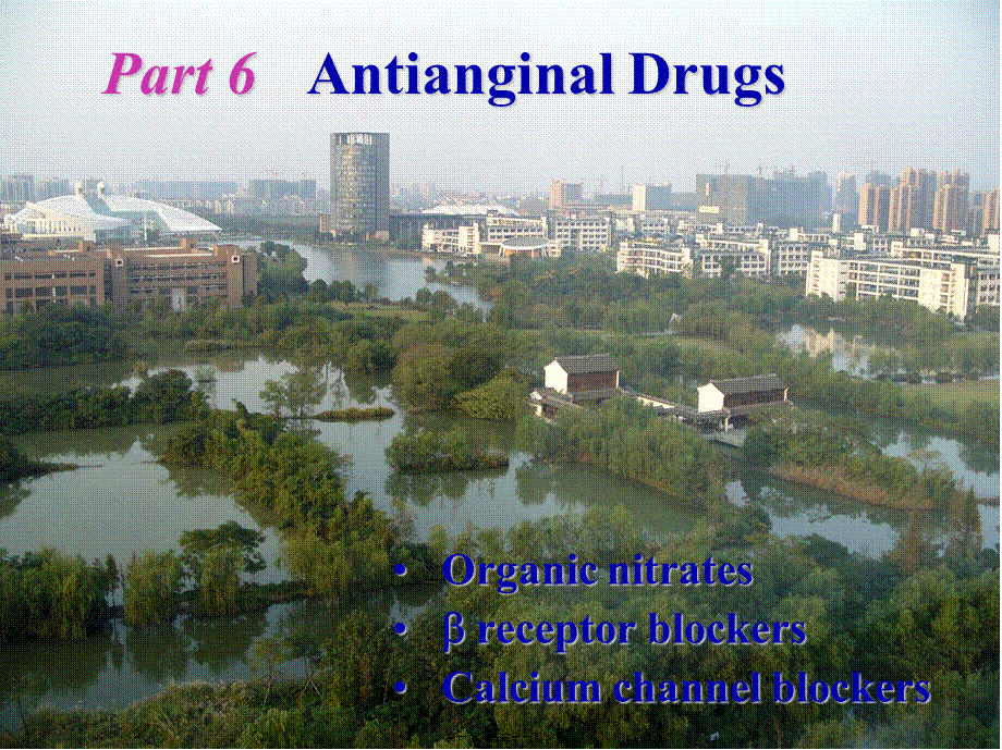 2022年医学专题—Antianginal-Drugs(抗心绞痛药).ppt_第1页