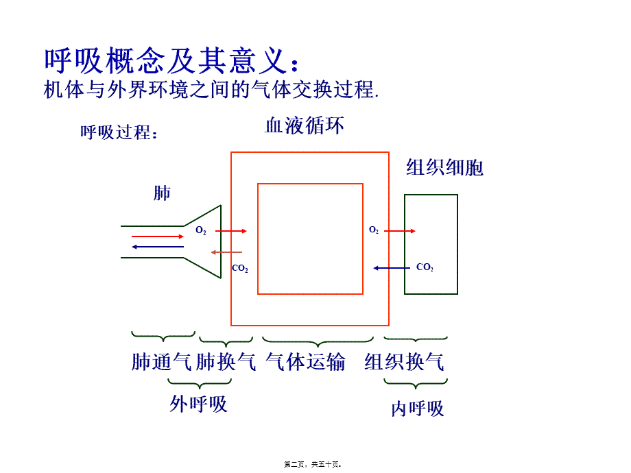 呼吸机基础知识笔记.ppt_第2页