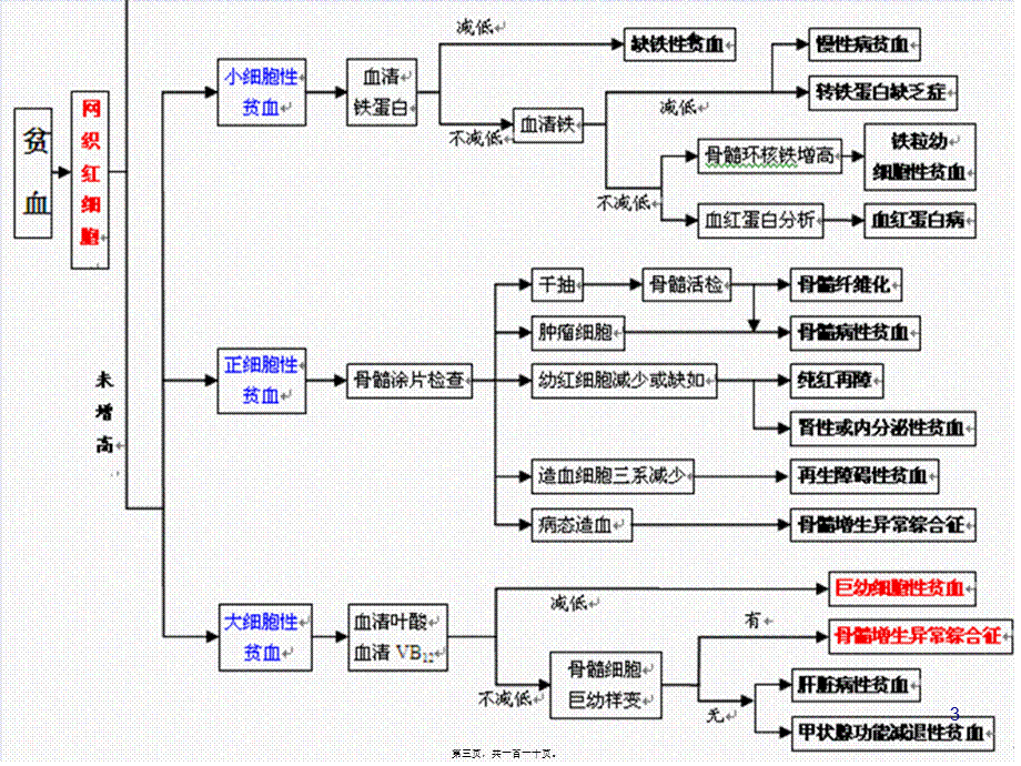 全国血液细胞形态学.pptx_第3页