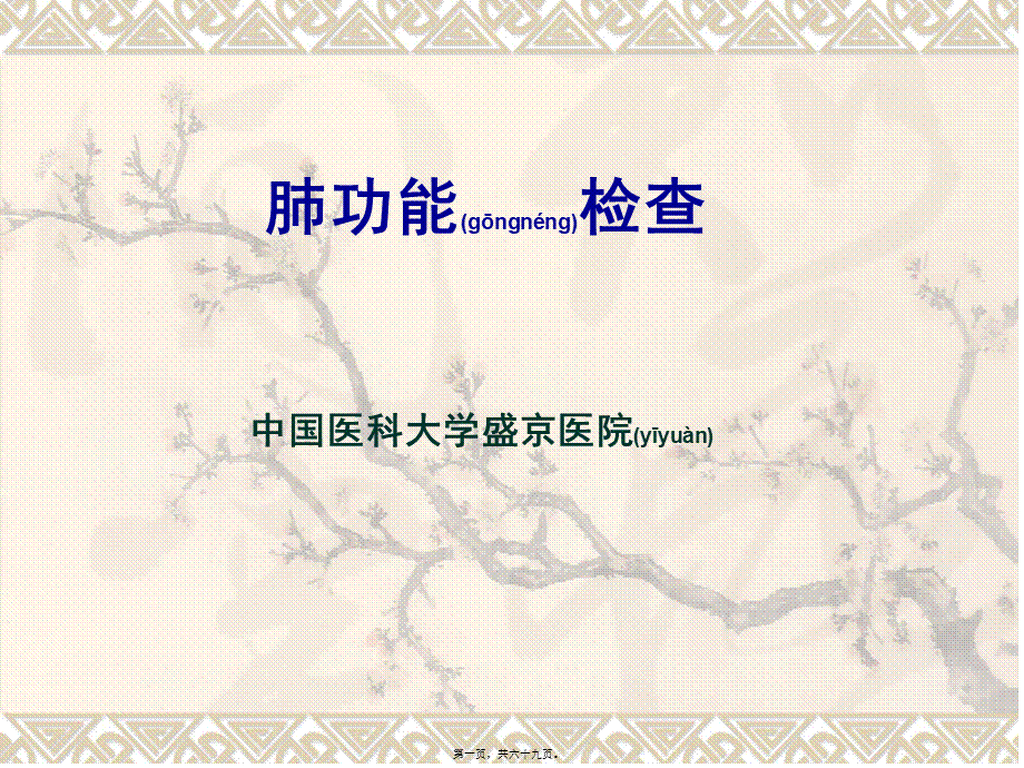 2022年医学专题—肺功能2.ppt_第1页