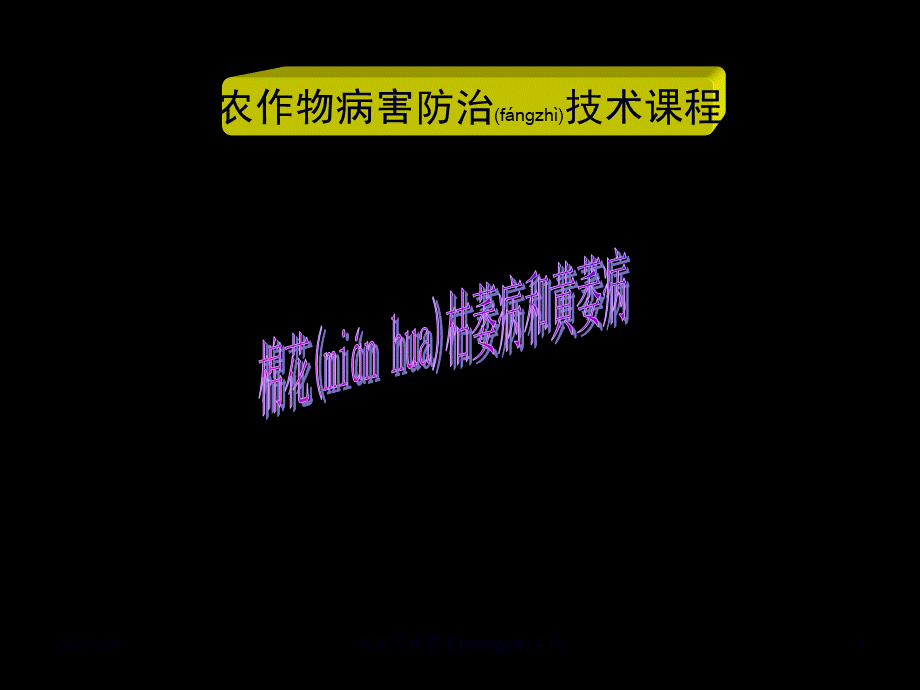 2022年医学专题—区别点棉花枯萎病棉花黄萎病.ppt_第1页