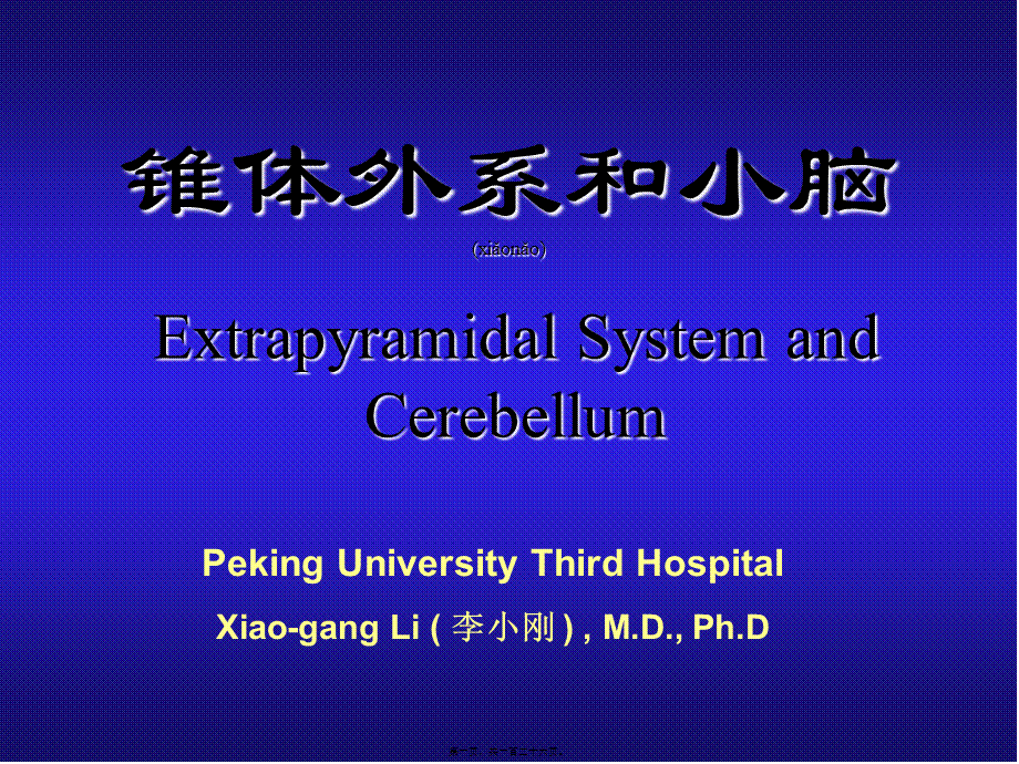 2022年医学专题—.锥体外系和小脑(2007进修).ppt_第1页