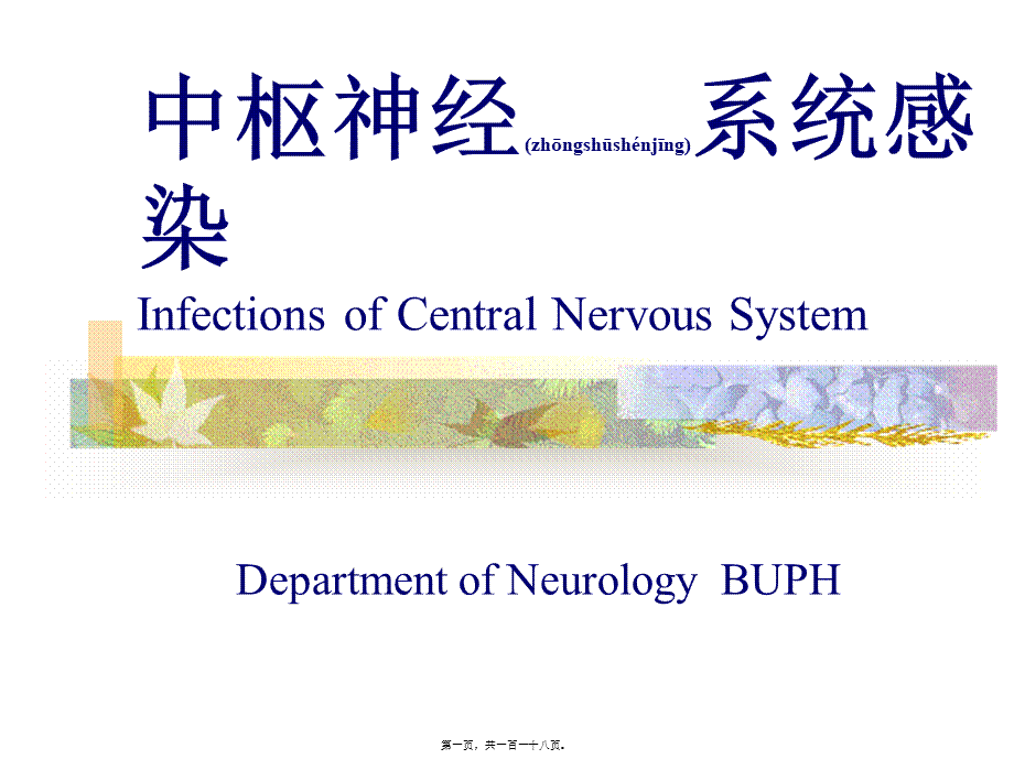 2022年医学专题—中枢神经系统感染进修医生2010-PPT文档.ppt_第1页