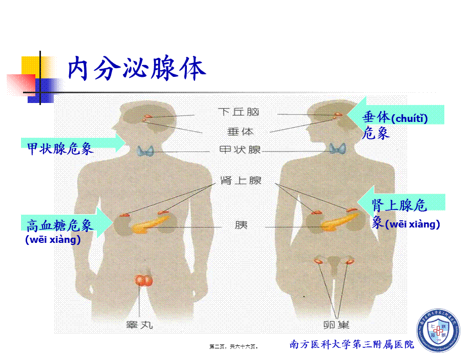 2022年医学专题—全科医生-内分泌急救..ppt_第2页