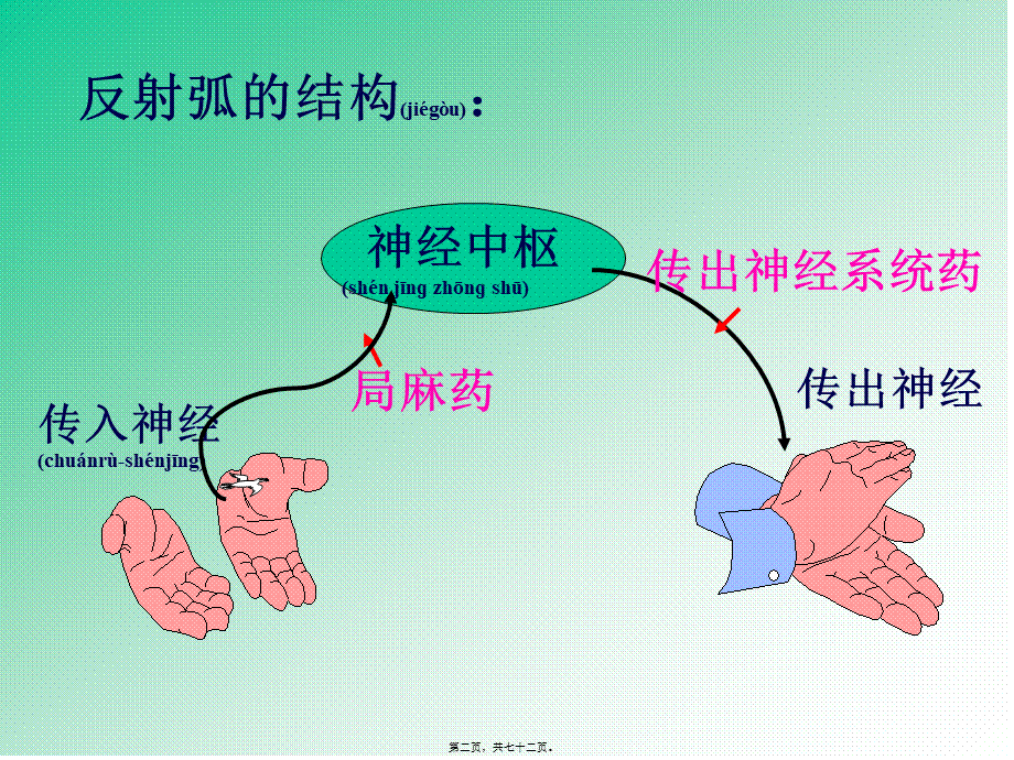 2022年医学专题—第五篇传出神经系统药.ppt_第2页