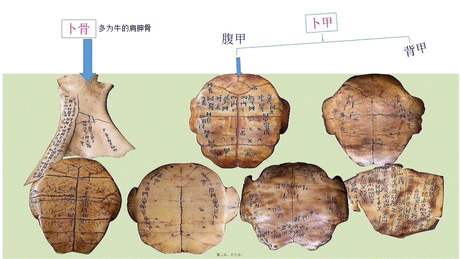 中国古典文献的载体形式之甲骨文.ppt_第2页