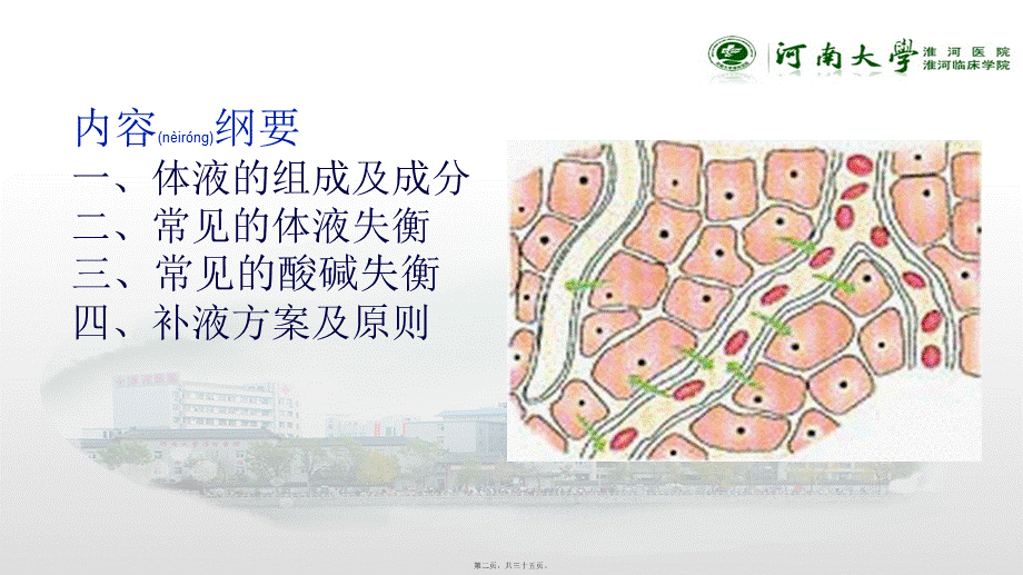 2022年医学专题—外科补液.pptx_第2页