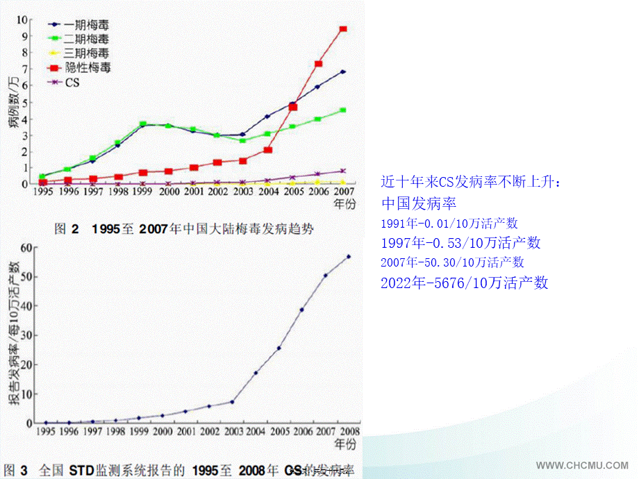 先天性梅毒-诊疗及随访.pptx_第3页