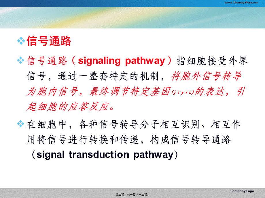 2022年医学专题—第十六章-细胞内信号传导通路ppt.ppt_第3页