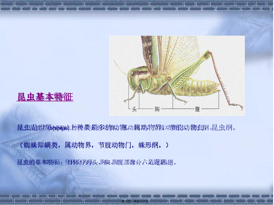 2022年医学专题—病虫害基础知识.ppt_第3页