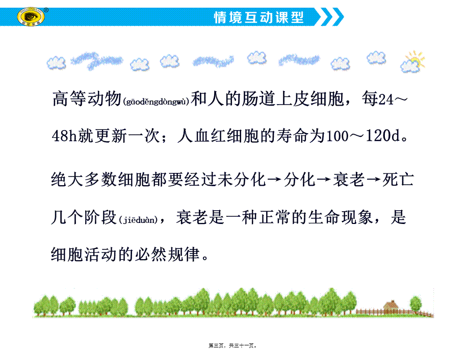 2022年医学专题—第三节-细胞的衰老和凋亡.ppt_第3页