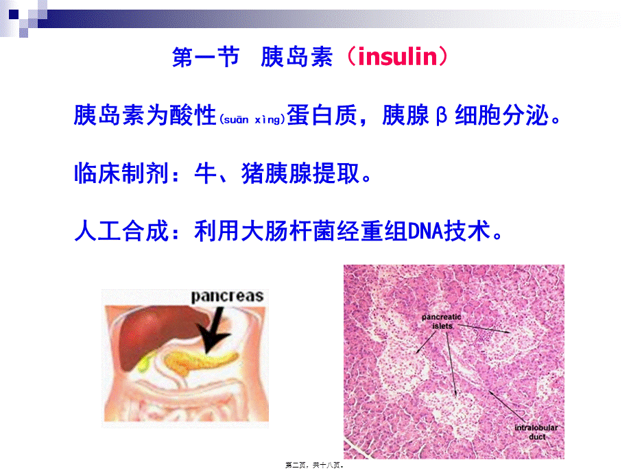 2022年医学专题—第37章-胰岛素及其他降血糖药.ppt_第2页