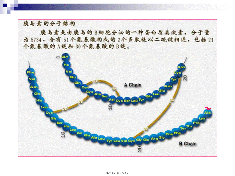 2022年医学专题—第37章-胰岛素及其他降血糖药.ppt_第3页