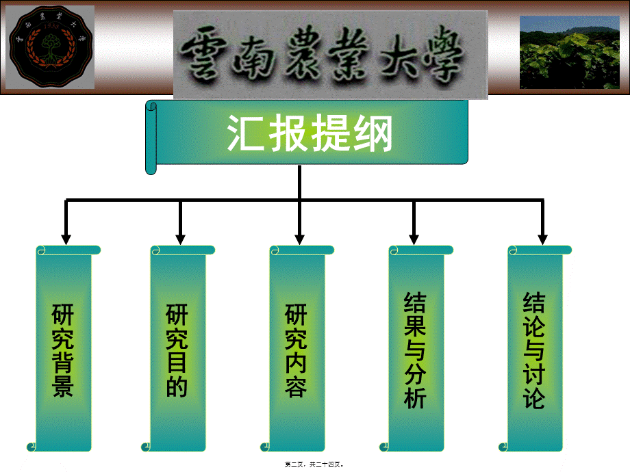 2022年医学专题—桑树叶斑病防治PPT.ppt_第2页