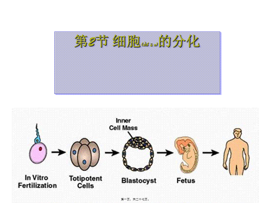 2022年医学专题—A.细胞分化是遗传物质改变的结果B..ppt_第1页