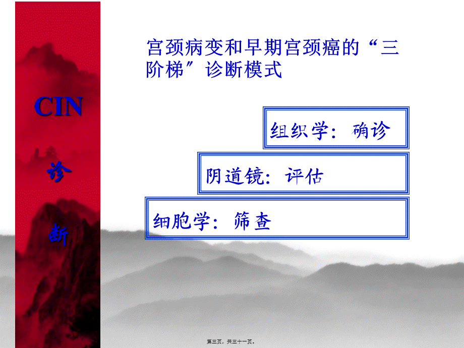 宫颈癌前病变的处理.pptx_第3页