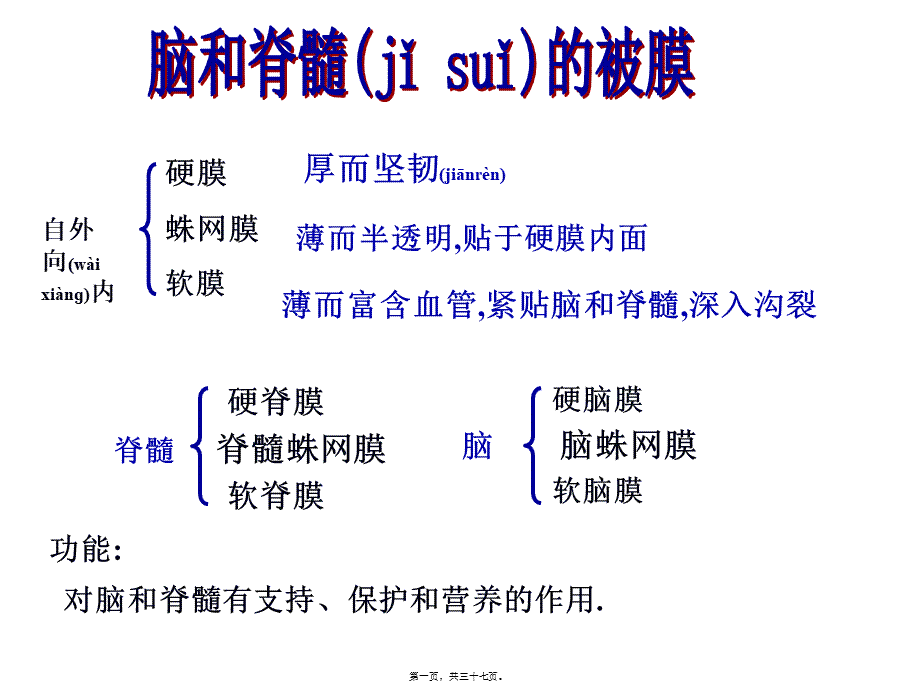 2022年医学专题—第九章脑和脊髓的被膜、脑脊液和血管.ppt_第1页