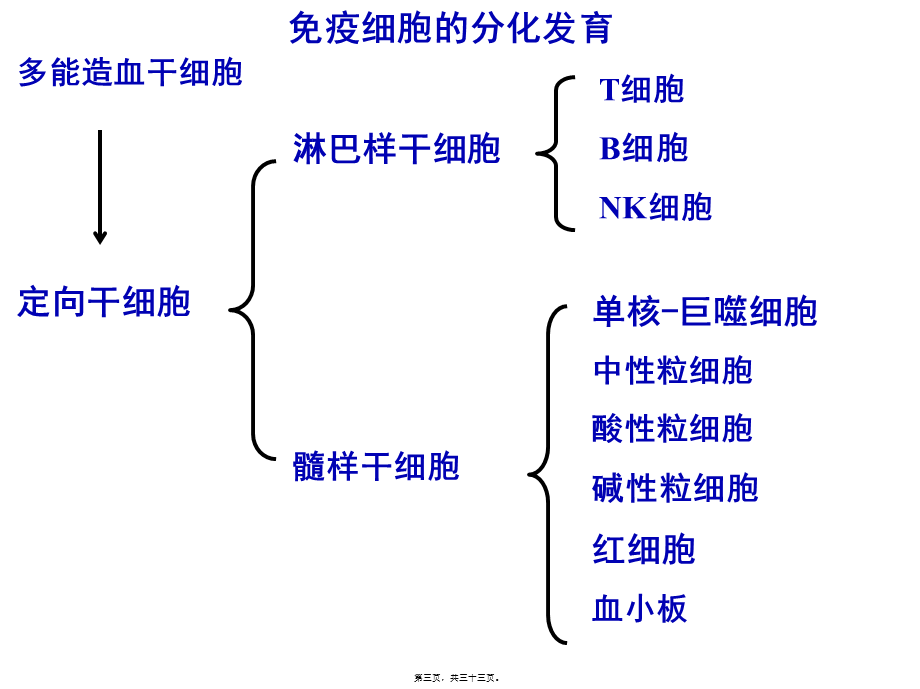 【免疫】2.T与B细胞.pptx_第3页