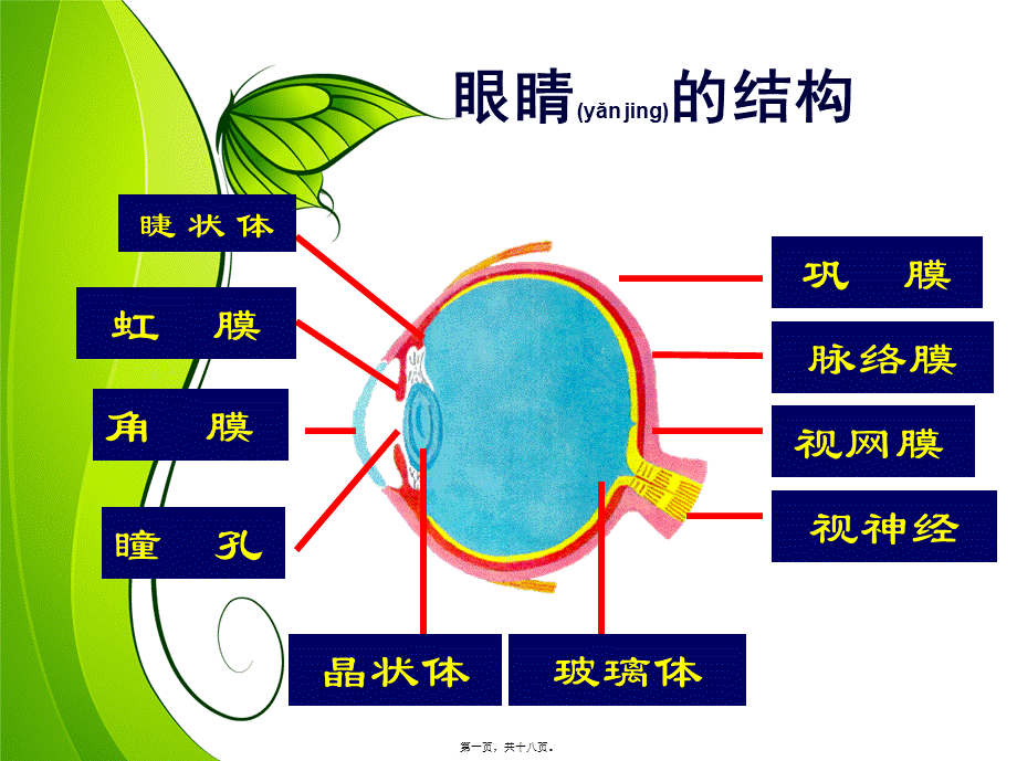 2022年医学专题—爱眼镜爱视力.ppt_第1页