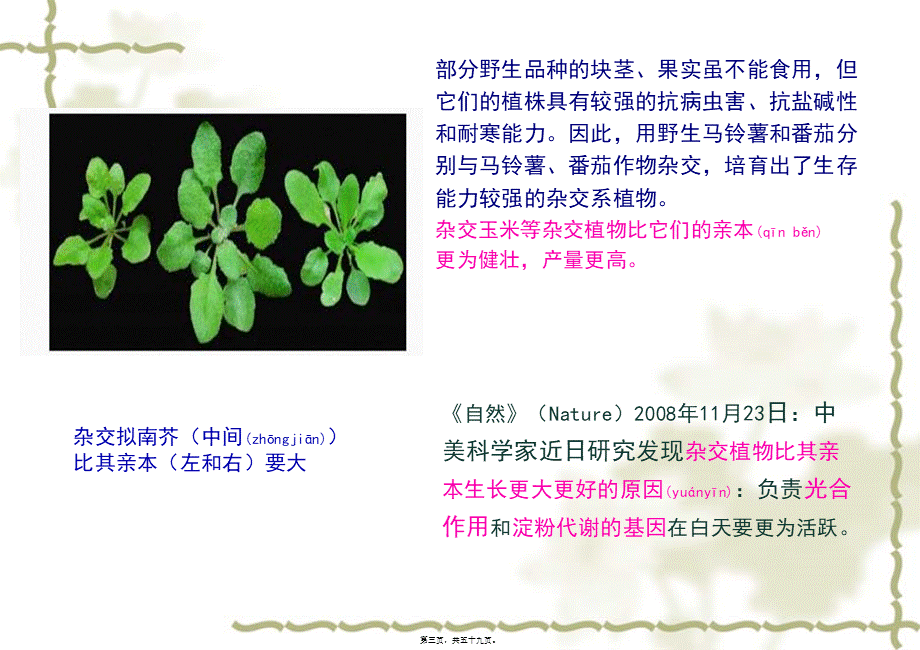 2022年医学专题—第五章-细胞融合与体细胞杂交.ppt_第3页