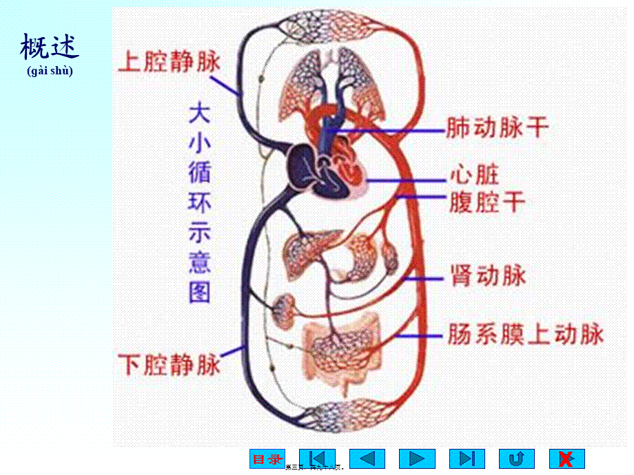 2022年医学专题—生理.ppt_第3页