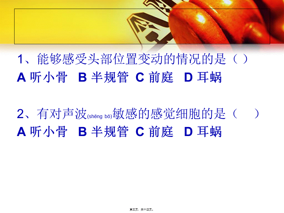 2022年医学专题—《耳与听觉》.ppt_第3页