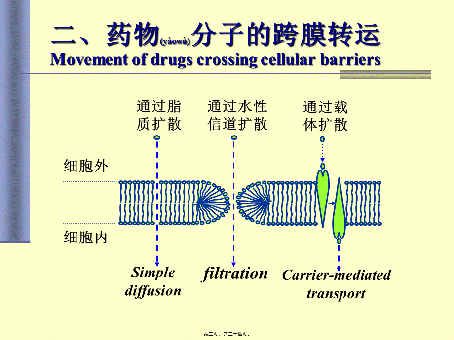 2022年医学专题—第01篇3-药代学.ppt_第3页