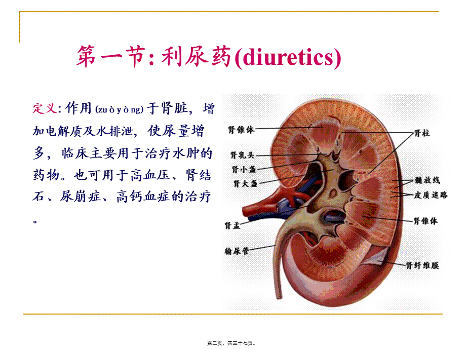 2022年医学专题—第二十四章利尿药和脱水药.ppt_第2页