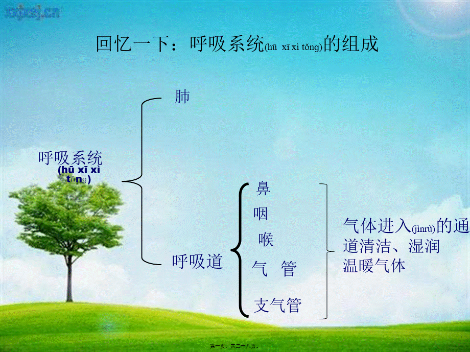 2022年医学专题—发生在肺内的气体交换.ppt..ppt_第1页