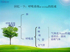 2022年医学专题—发生在肺内的气体交换.ppt..ppt