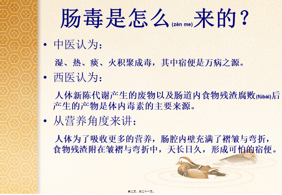 2022年医学专题—清-肠-排秘-新(副本).ppt_第2页