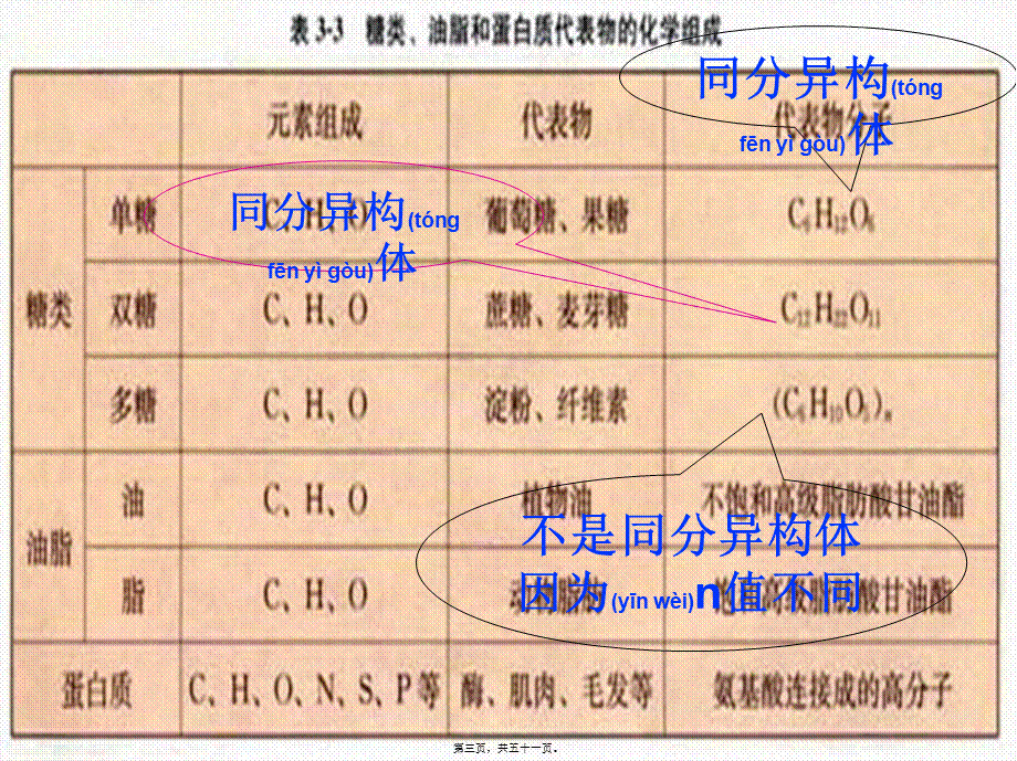 2022年医学专题—【PPT】基本营养物质(必修2).ppt_第3页