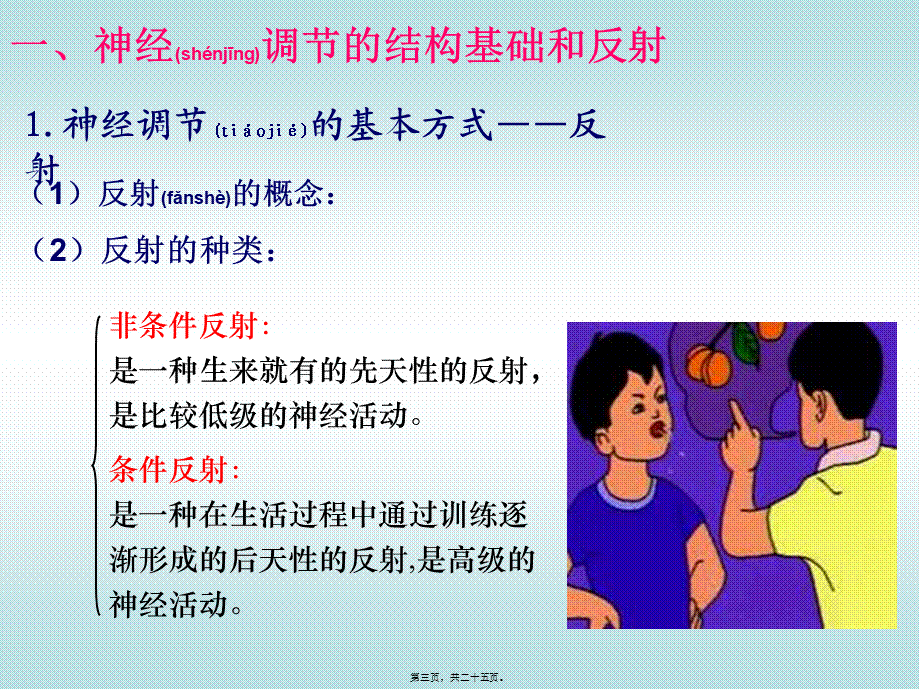 2022年医学专题—动物和人体生命活.ppt_第3页