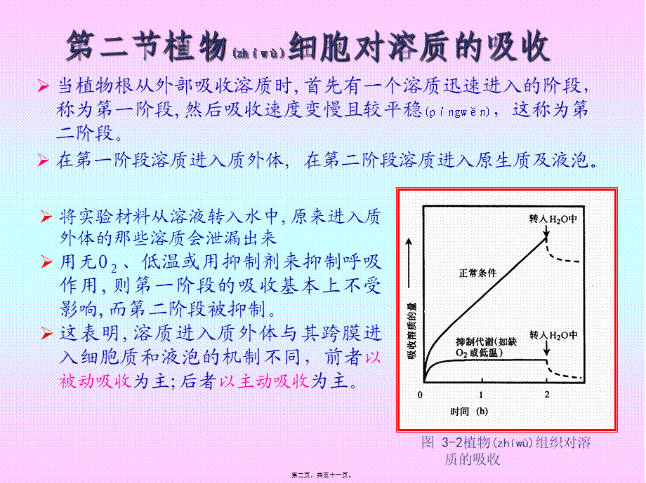 2022年医学专题—第三章-植物的矿质与氮素营养.ppt_第2页