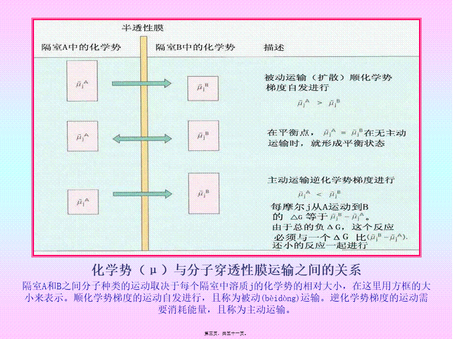 2022年医学专题—第三章-植物的矿质与氮素营养.ppt_第3页