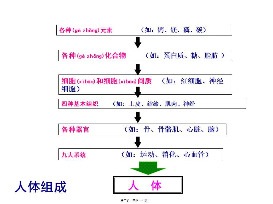 2022年医学专题—细胞和细胞间质ppt.ppt_第2页