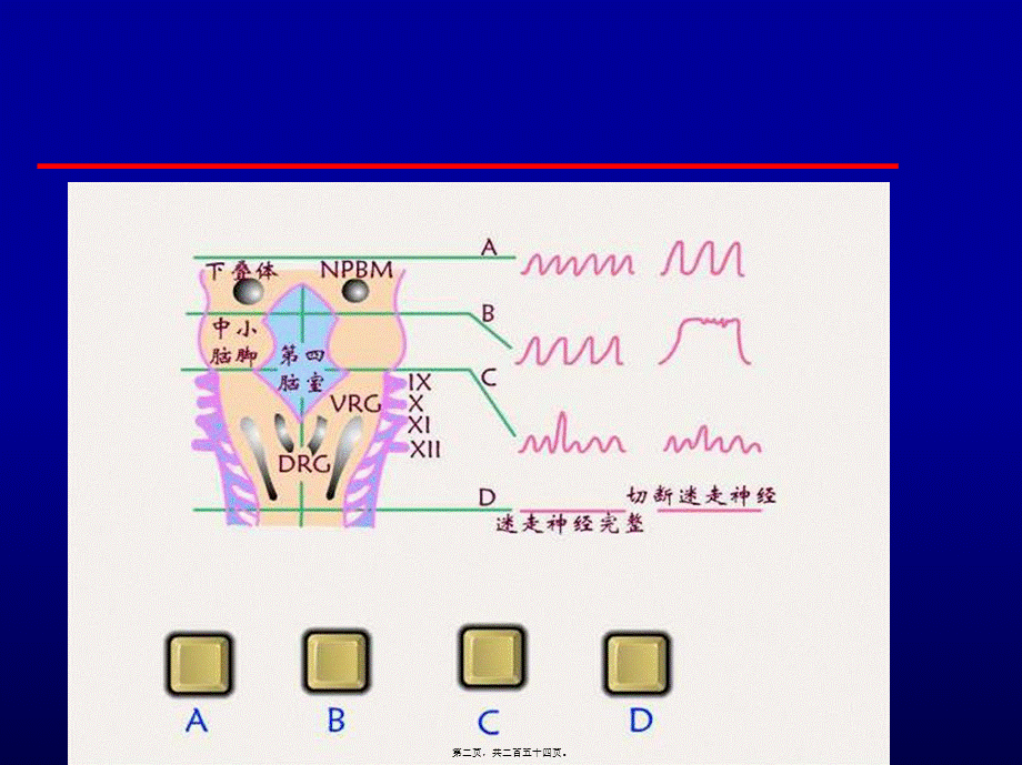 呼吸系统急重症.pptx_第2页