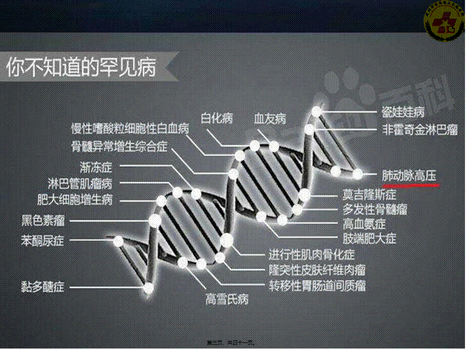 2022年医学专题—肺动脉高压的规范化诊治-姜鹏.pptx_第3页