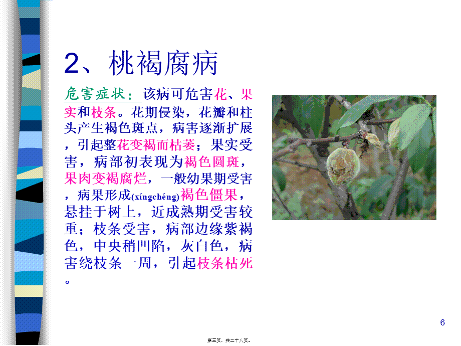 2022年医学专题—桃树病虫害防治技术.ppt_第3页